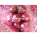 2016 Hot Sale High Quality Fresh Red Onion